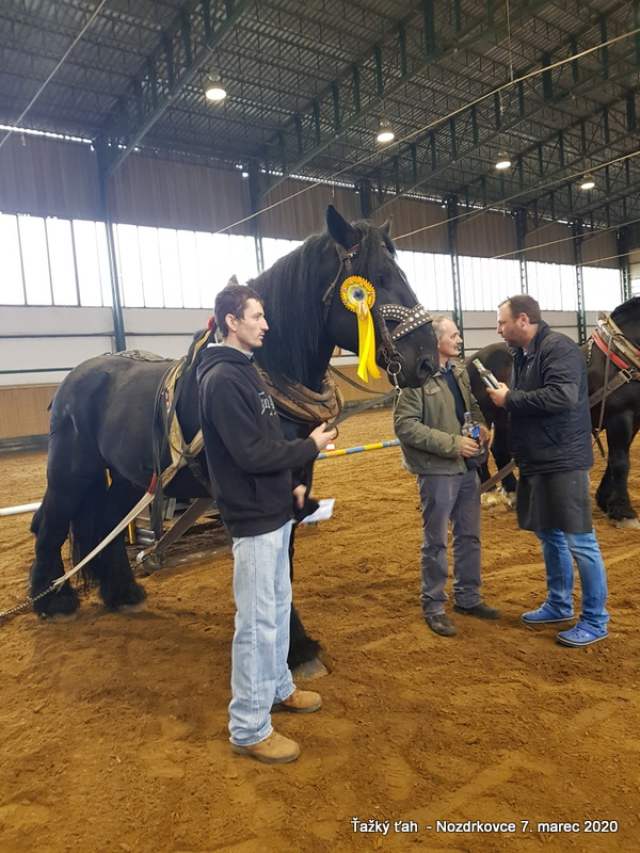 J_Francisti_I_miesto_starsie_zrebce